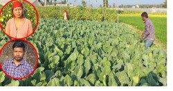 सहकारीमार्फत् व्यावसायिक कृषिमा जमेको जोडी